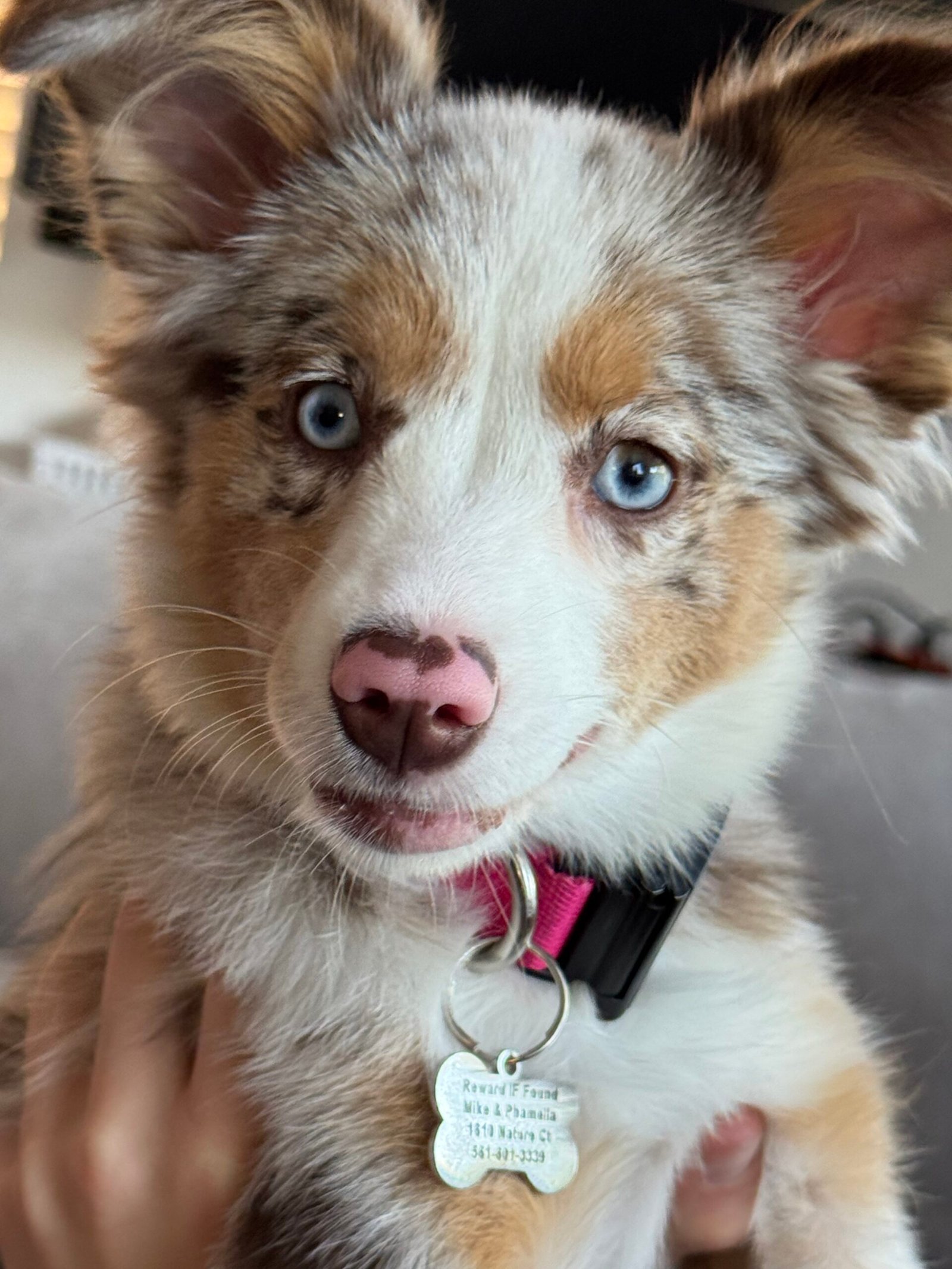 team-2 20251123 170838843 ios